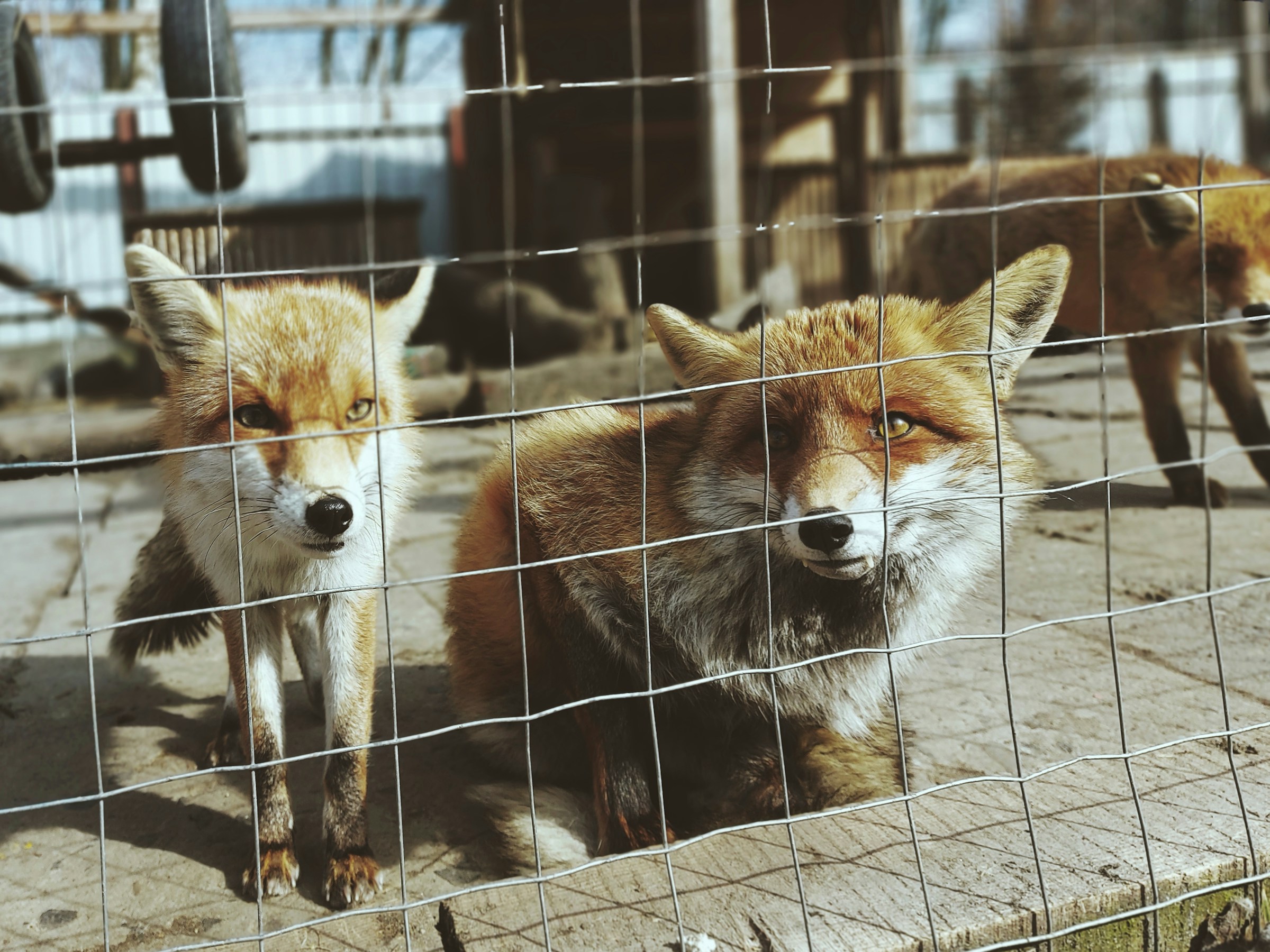 marta-savelyeva-44owcUeA6eI-unsplash